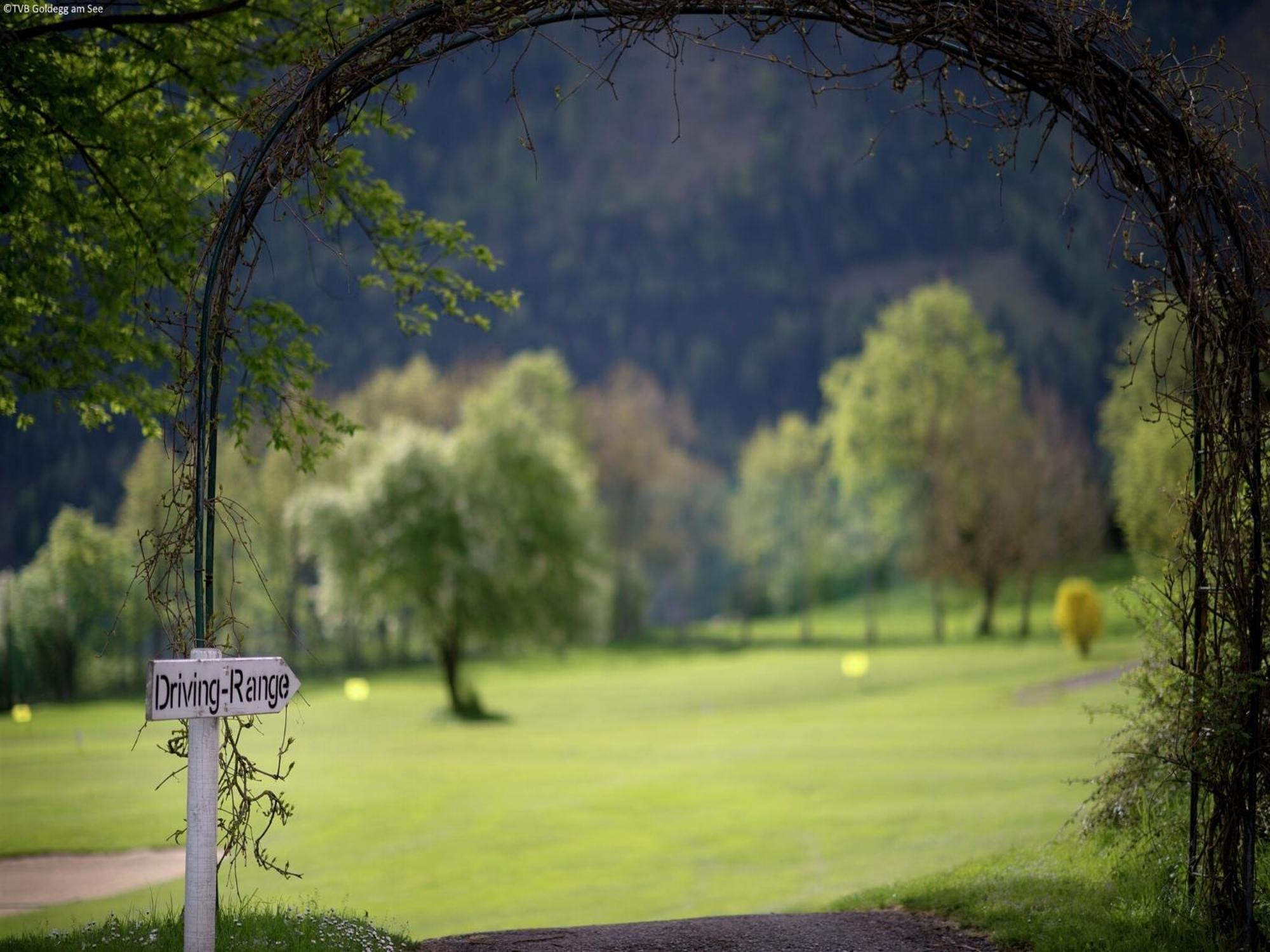 Quaint Mansion Near Ski Bus In Goldegg Bagian luar foto
